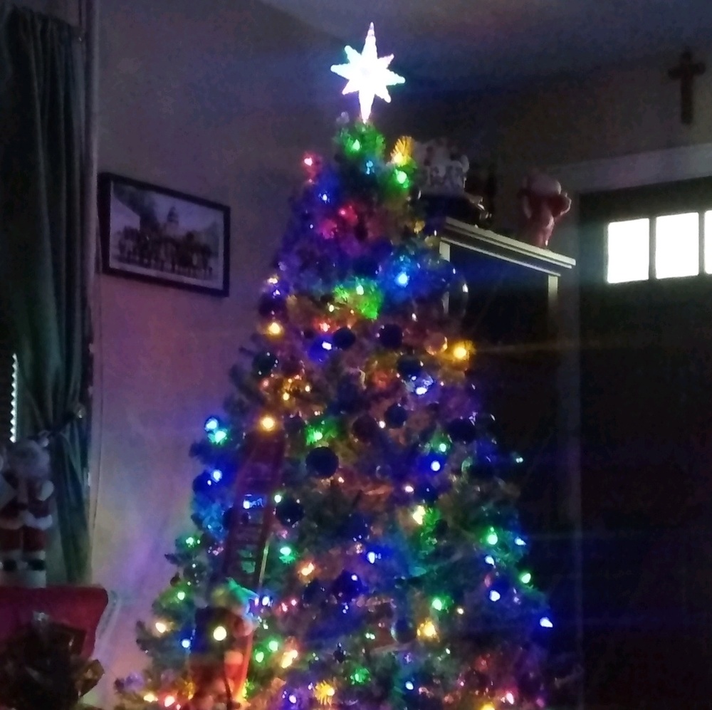 Meet your Posher, Olga